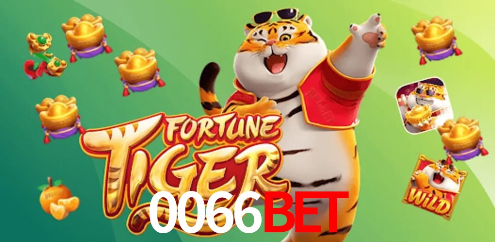 Experiência VIP 0066Bet
